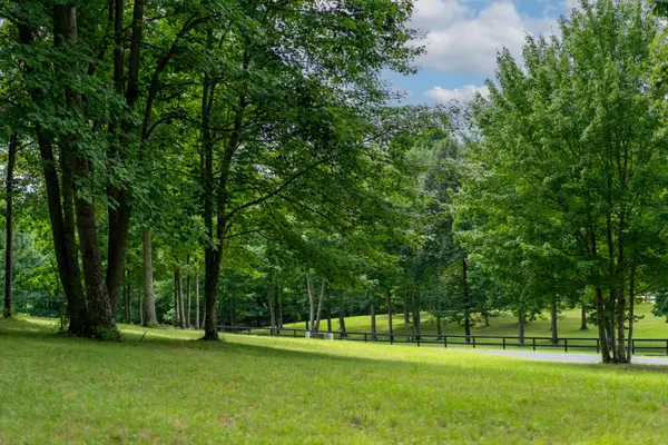 243 Roaring Creek Road, Dunlap, TN 37327