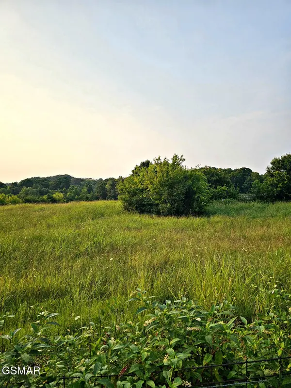 452 Wells Spring Road, Dandridge, TN 37725