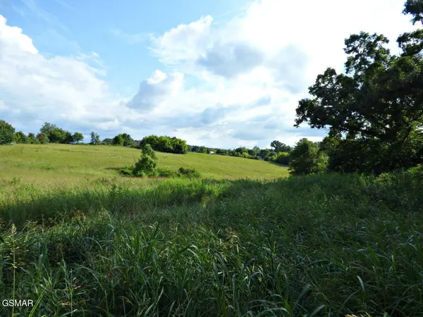 3 Wells Spring Road, Dandridge, TN 37725