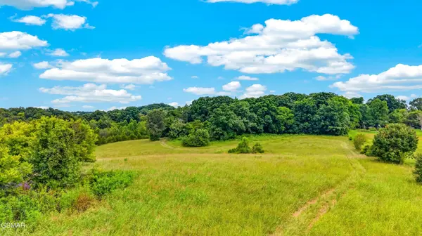 3 Wells Spring Road, Dandridge, TN 37725