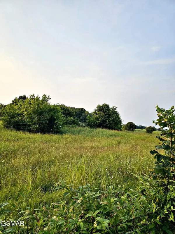 3 Wells Spring Road, Dandridge, TN 37725