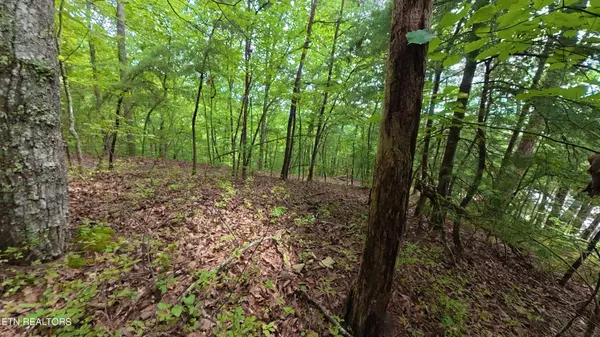 0 Shady Oaks Way, Sevierville, TN 37876