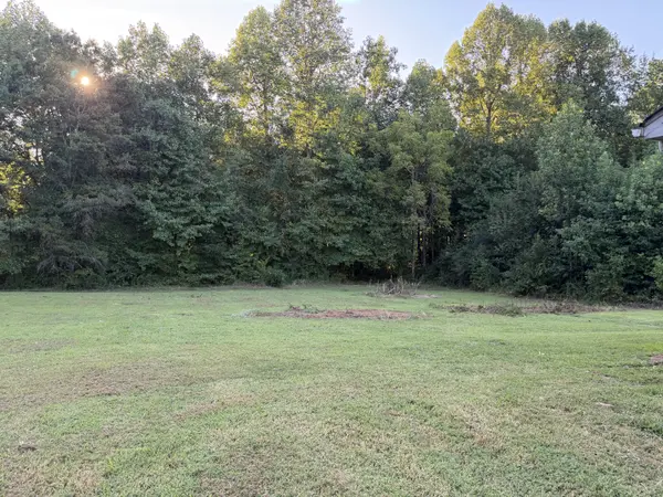 641 Ruth Hildreth Rd, Smithville, TN 37166