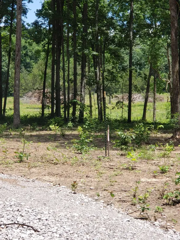 0 Kedron Rd, Spring Hill, TN 37174