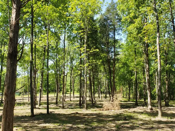 0 Kedron Rd, Spring Hill, TN 37174