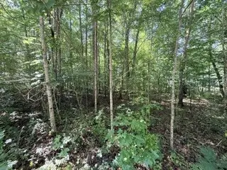 75 Sunset Bluff Way, Monteagle, TN 37356