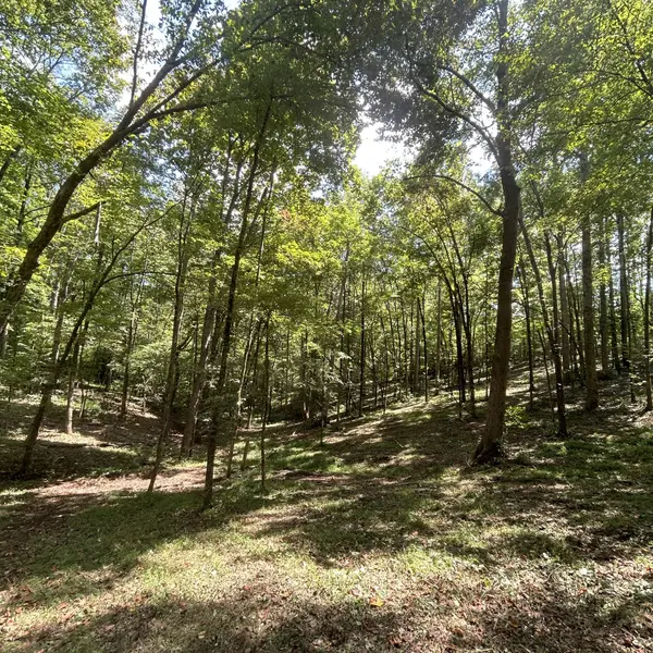 0 Boston Theta Rd, Columbia, TN 38401