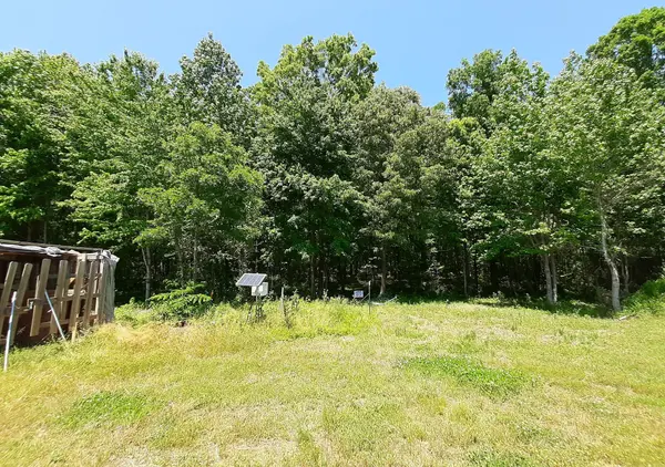 10 Lakewood Park Dr, Beechgrove, TN 37018