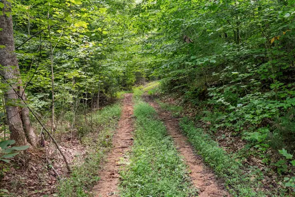 0 Sparkman Town Bone Cave Rd, Doyle, TN 38559
