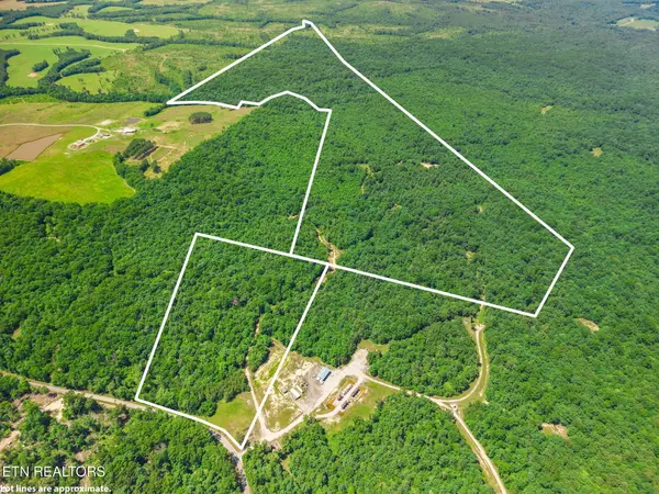 246 Perkins Tr, Deer Lodge, TN 37726
