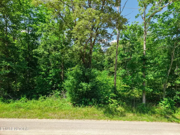 246 Perkins Tr, Deer Lodge, TN 37726