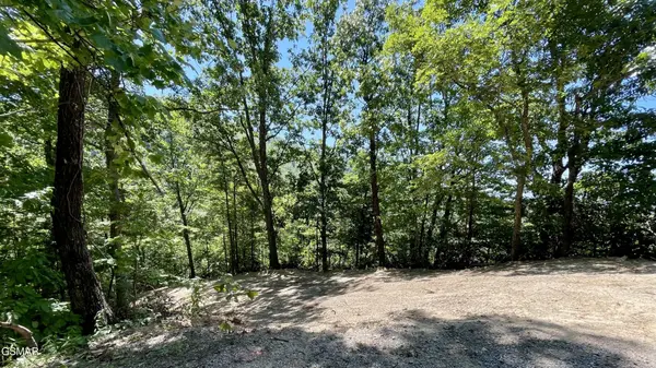 2324 Red Maple Lane, Sevierville, TN 37876