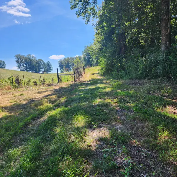 266 Shoally Branch, Leoma, TN 38468
