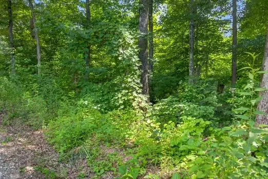 0 Eagle Lane, Sparta, TN 38583