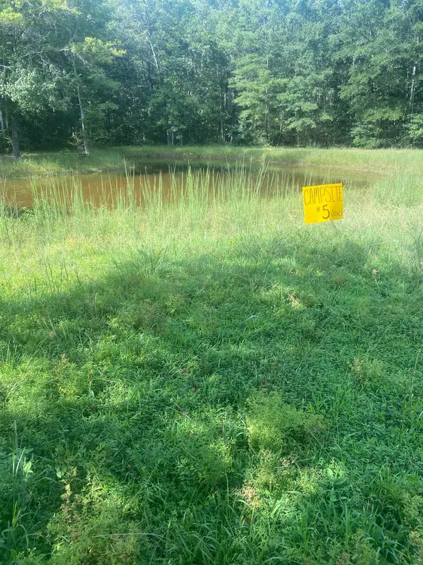 5217 Ragsdale Rd, Manchester, TN 37355