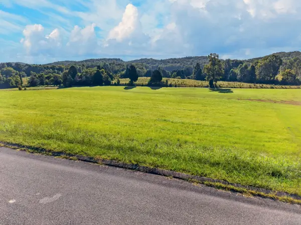 0 Spring Harbor Drive, Spring City, TN 37381
