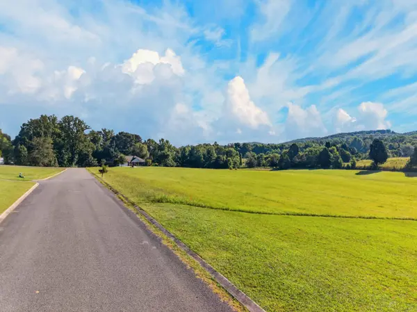 0 Spring Harbor Drive, Spring City, TN 37381