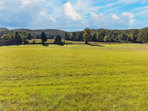 0 Spring Harbor Drive, Spring City, TN 37381
