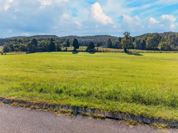 0 Spring Harbor Drive, Spring City, TN 37381
