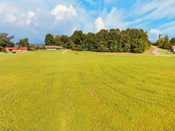 0 Spring Harbor Drive, Spring City, TN 37381