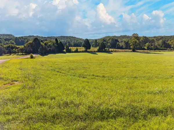 175 Spring Cove Lane, Spring City, TN 37381
