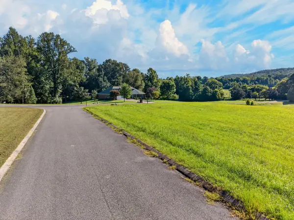 175 Spring Cove Lane, Spring City, TN 37381