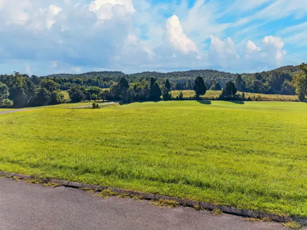 175 Spring Cove Lane, Spring City, TN 37381