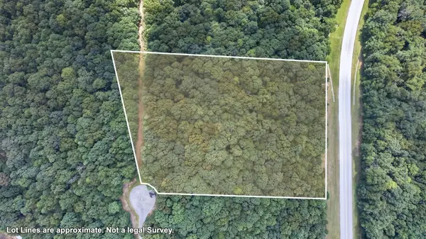 0 Rowe Gap Rd, Belvidere, TN 37306