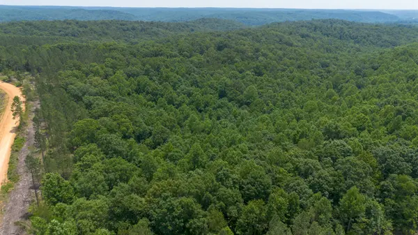 0 Salem Rd, Centerville, TN 37033