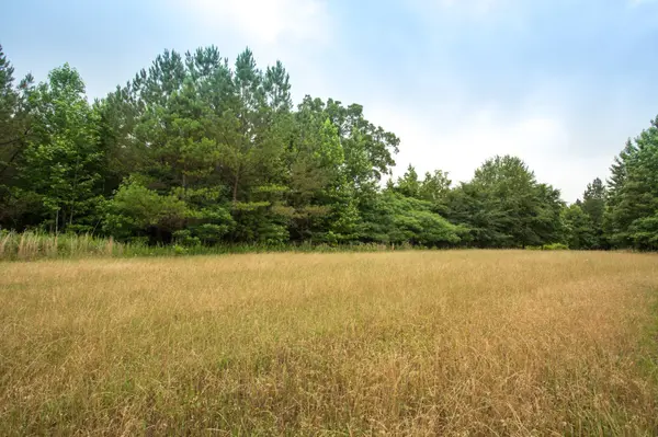 115 Baudy James Road, Cedar Grove, TN 38321
