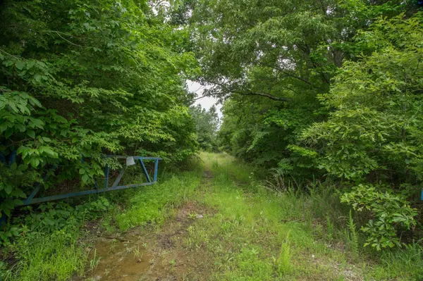 115 Baudy James Road, Cedar Grove, TN 38321