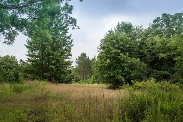 115 Baudy James Road, Cedar Grove, TN 38321