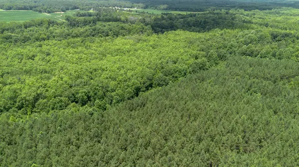 0 Smith Rd, Finger, TN 38334