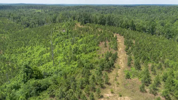 0 Low Gap Road, Sugar Tree, TN 38380