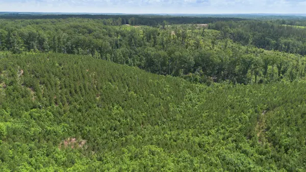 0 Low Gap Road, Sugar Tree, TN 38380