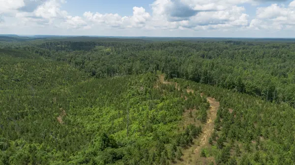 0 Low Gap Road, Sugar Tree, TN 38380