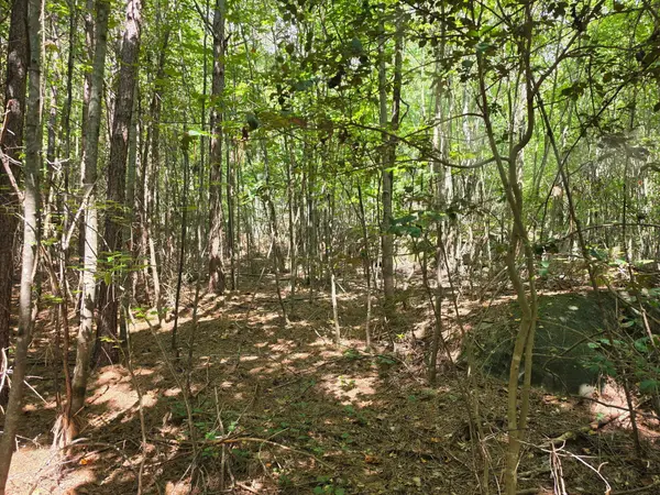 1015 Hotwater Road, Soddy Daisy, TN 37379