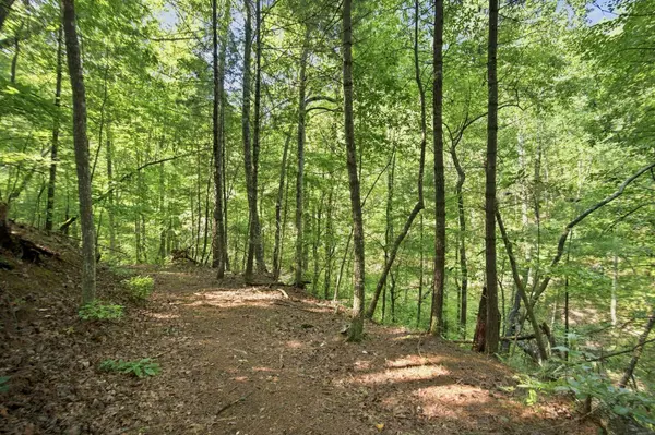 204 High Top Road, Reliance, TN 37369