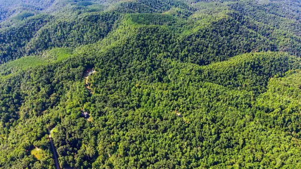 204 High Top Road, Reliance, TN 37369