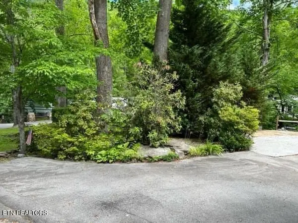 4224 E Parkway Pkwy, Gatlinburg, TN 37738