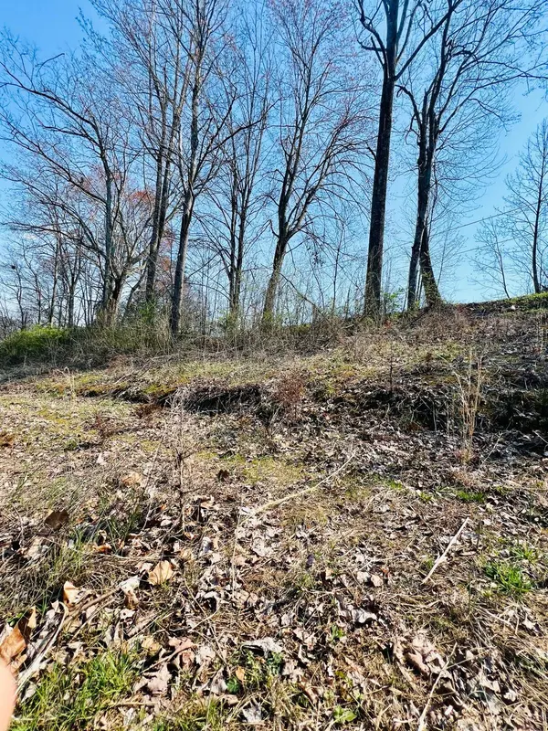 0 Nell St, Tazewell, TN 37879