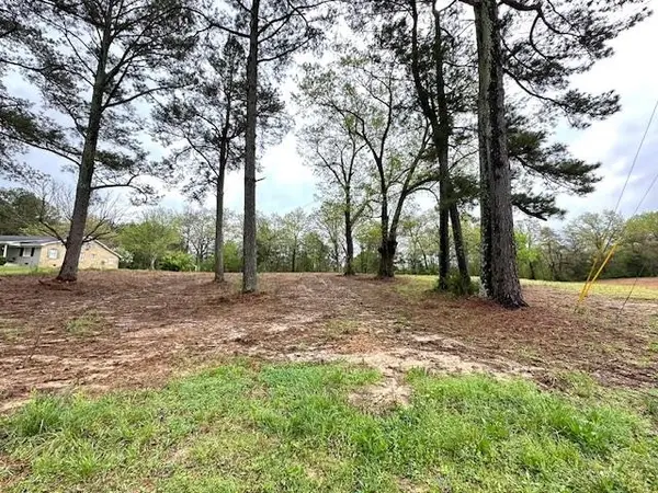 175 DRAKE LOOP, Savannah, TN 38372