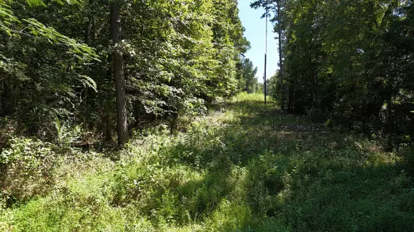 0 Fezzell Road, Decatur, TN 37322