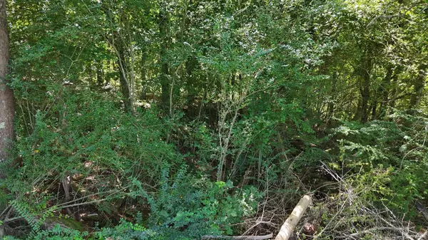 0 Fezzell Road, Decatur, TN 37322