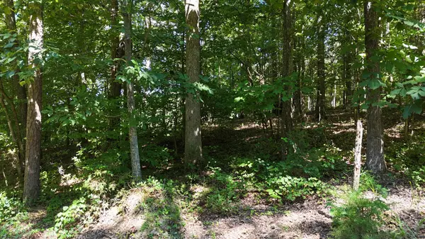 0 Fezzell Road, Decatur, TN 37322