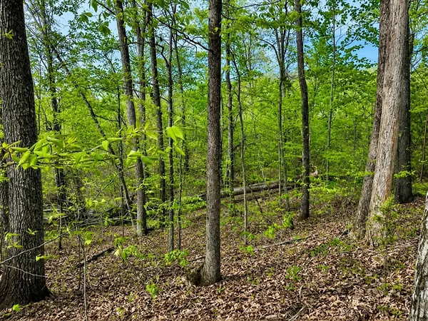 1 Lay Hollow Rd, Sharps Chapel, TN 37866