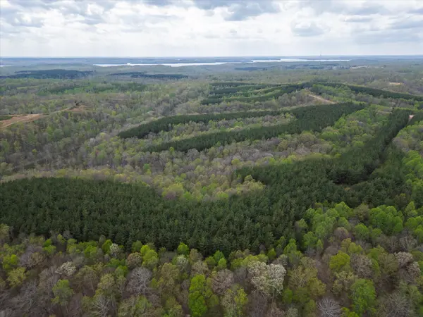 0 Rustic Pines Road, Dover, TN 37058