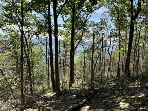 0 Soaring Eagle Rd, Crossville, TN 38572