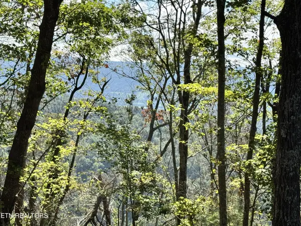 0 Soaring Eagle Rd, Crossville, TN 38572