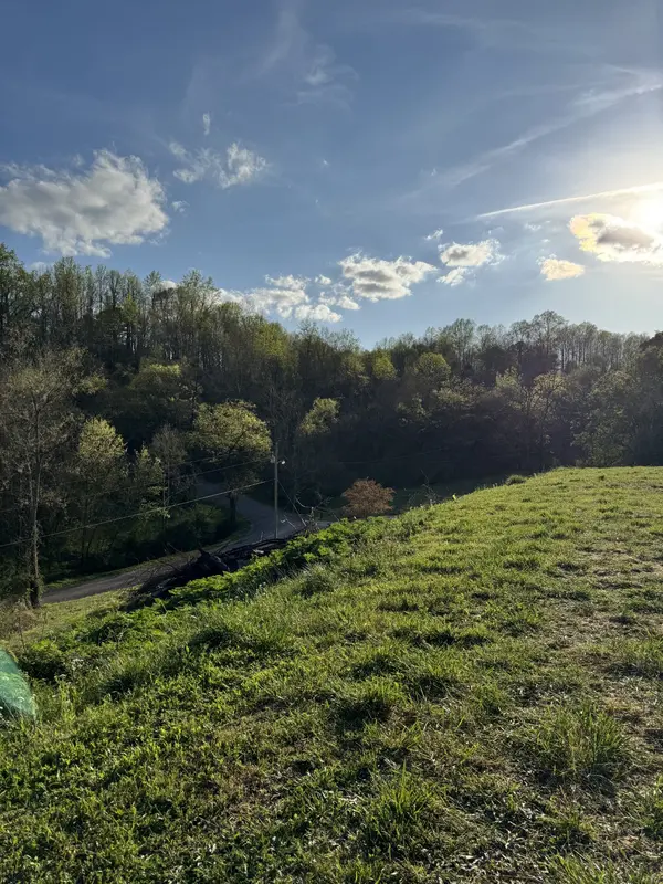 195 Hasty Hollow Rd, Lynchburg, TN 37352